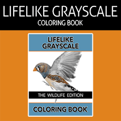 The Lifelike Wildlife Grayscale Coloring Book Affiliate Banner - 250x250